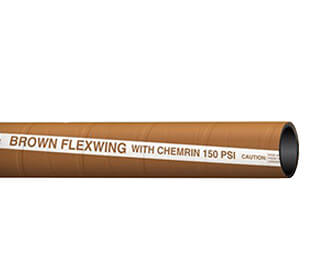 Brown Flexwing